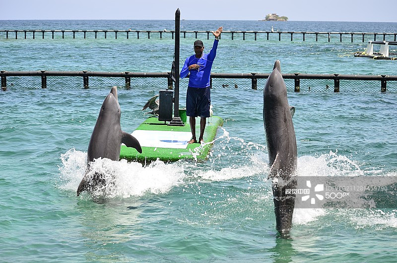 罗萨里奥群岛水族馆，哥伦比亚卡塔赫纳图片素材