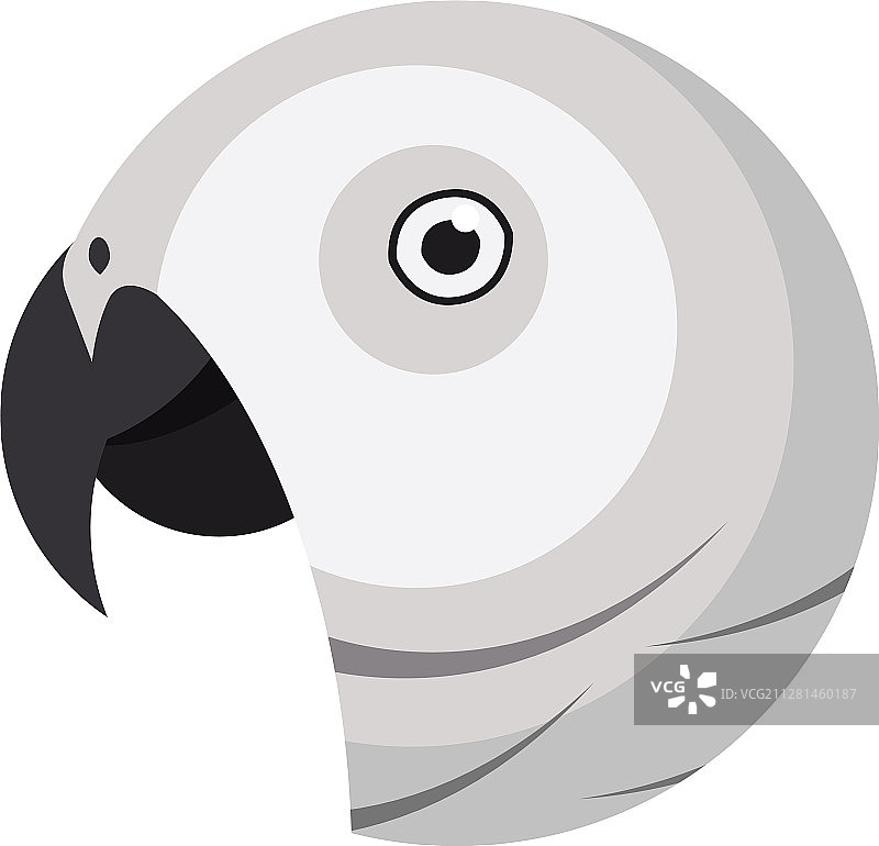 独特的简约风格非洲灰鹦鹉肖像图片素材