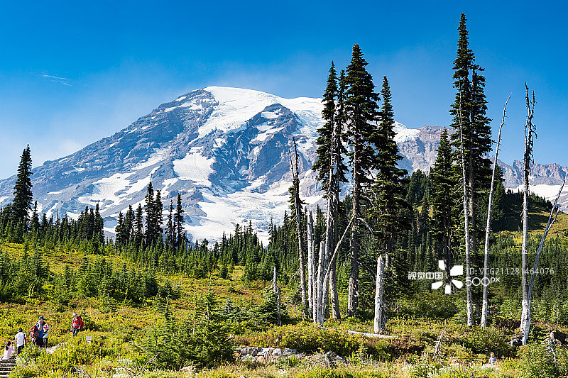 雷尼尔山图片素材
