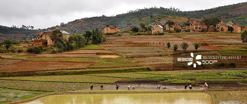 马达加斯加稻田和村庄图片素材