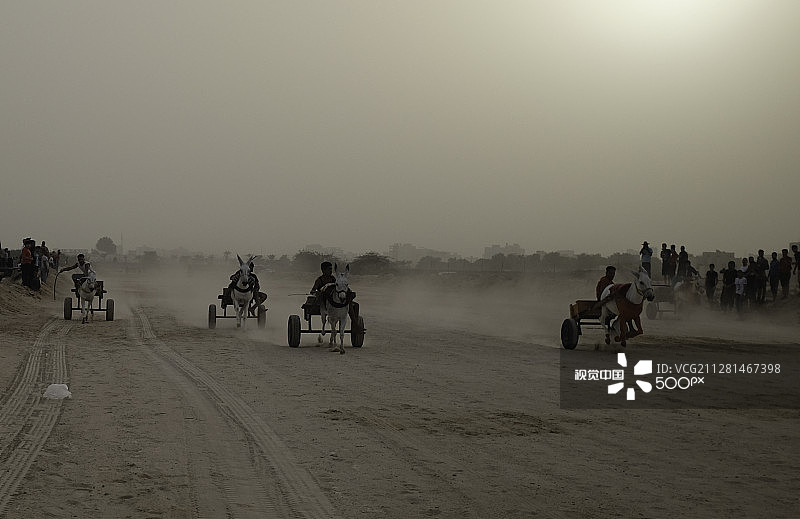 驴赛跑图片素材