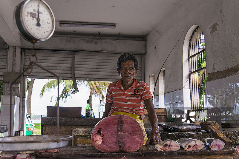 鱼市场图片素材