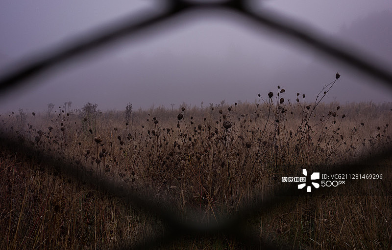 摄影师：Yrogerg Niadel图片素材