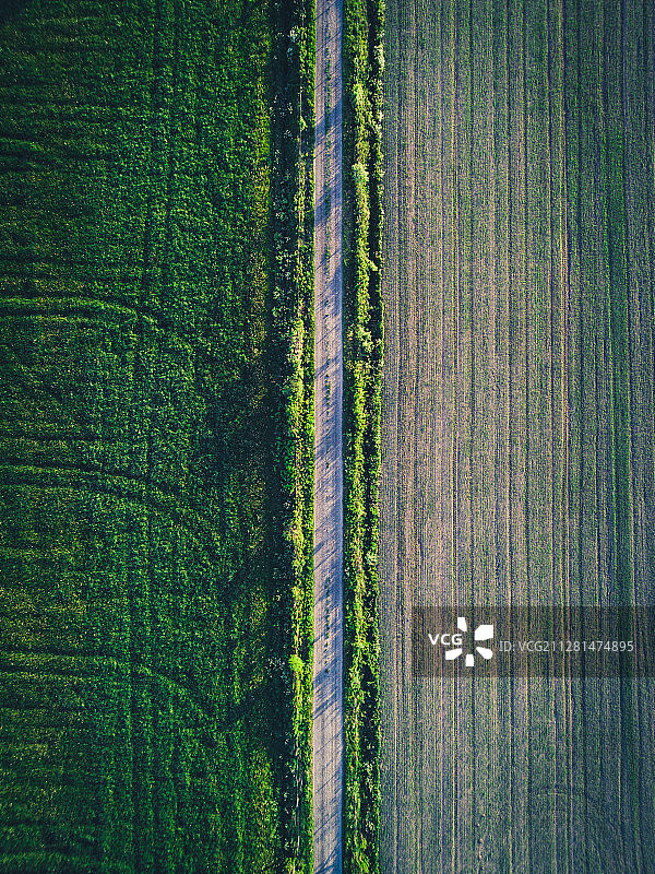 高角度拍摄的道路和农田图片素材