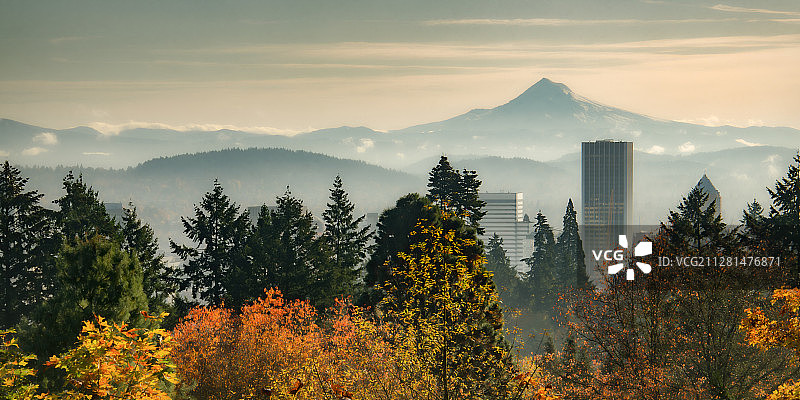 美国俄勒冈州波特兰的树木和山景图片素材