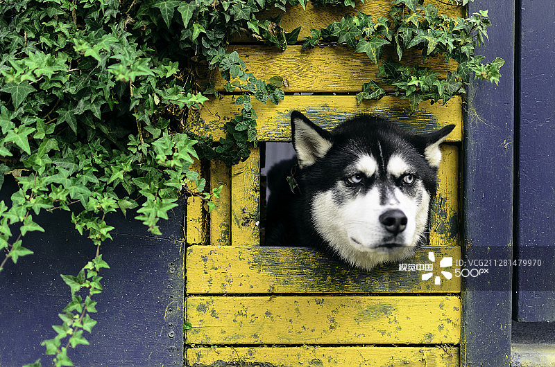 意外发现图片素材