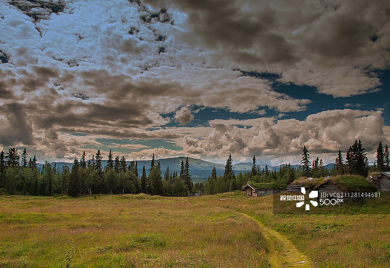 瑞典夏季牧场图片素材