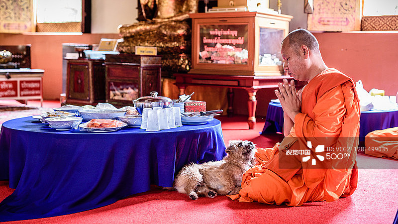 虔诚的狗和宁静的僧侣图片素材