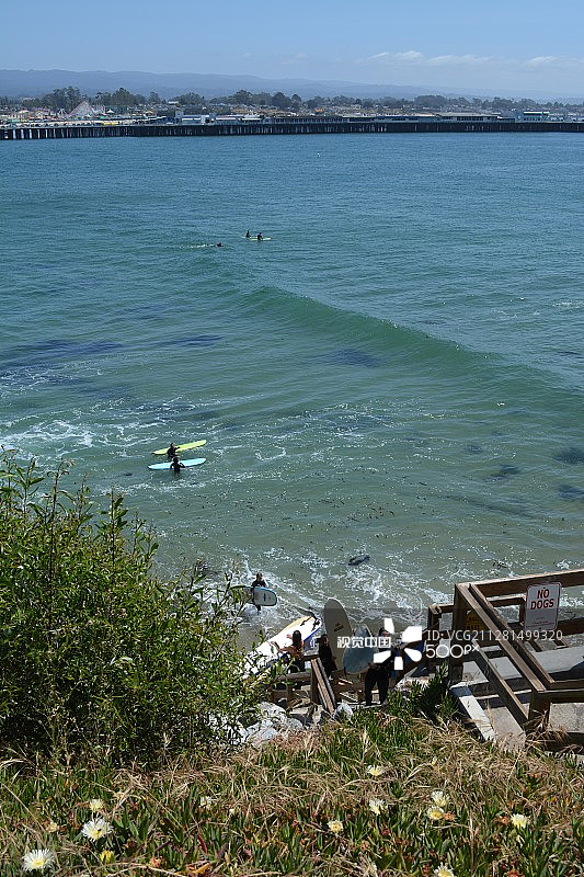 禁止犬只入内图片素材