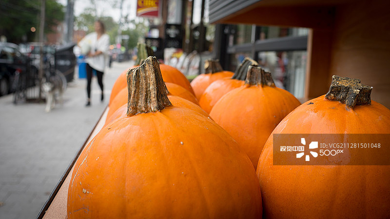 小南瓜图片素材