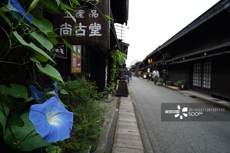 高山市小巷的早晨图片素材