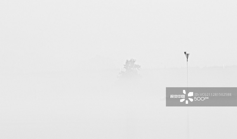 莱克河上的晨雾图片素材