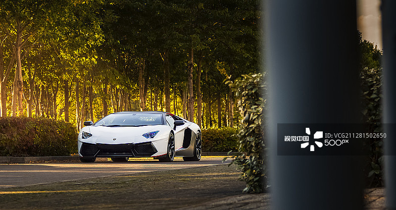 兰博基尼Aventador图片素材