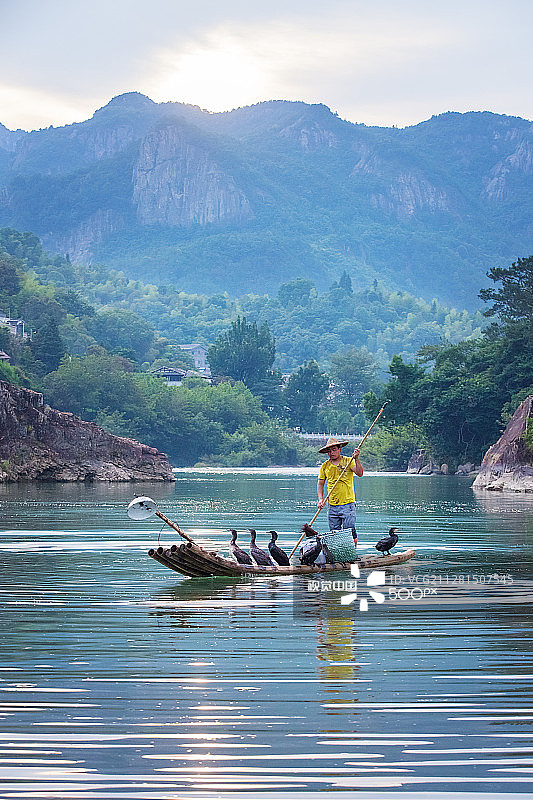 中国男人和鸬鹚捕鱼图片素材