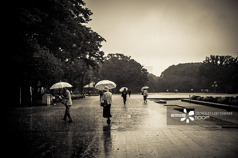 上野的雨后下午图片素材