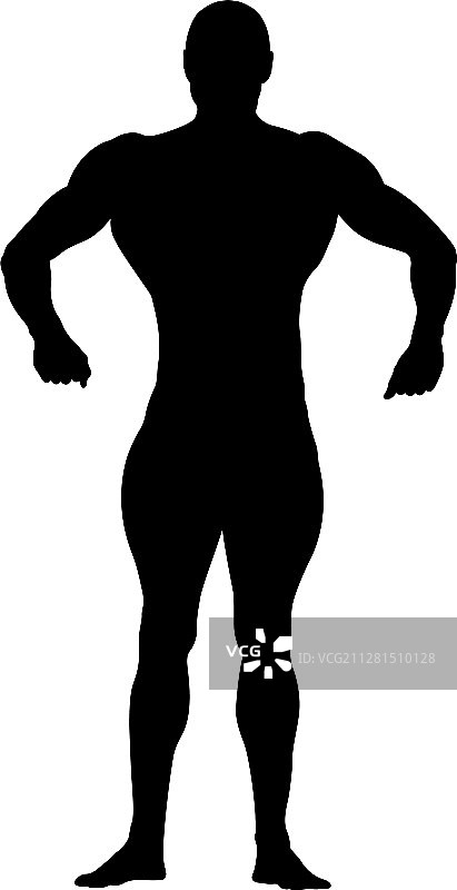 健美运动员图片素材