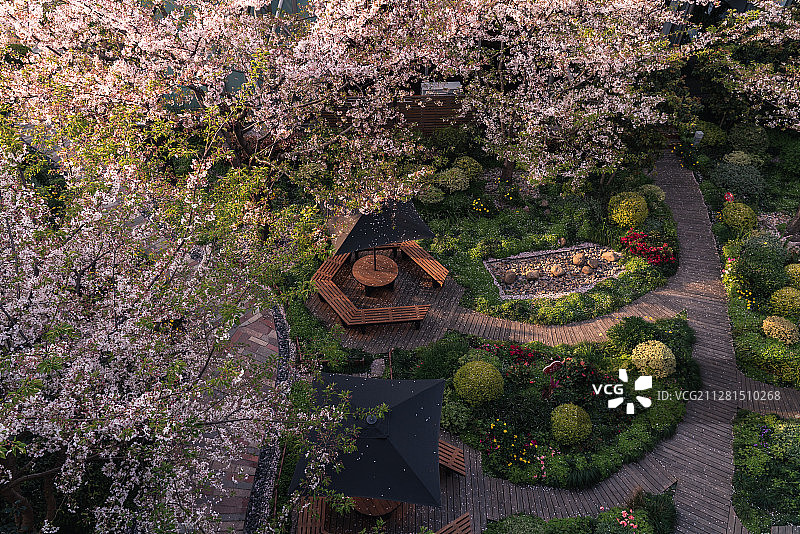 庭院深深深几许图片素材