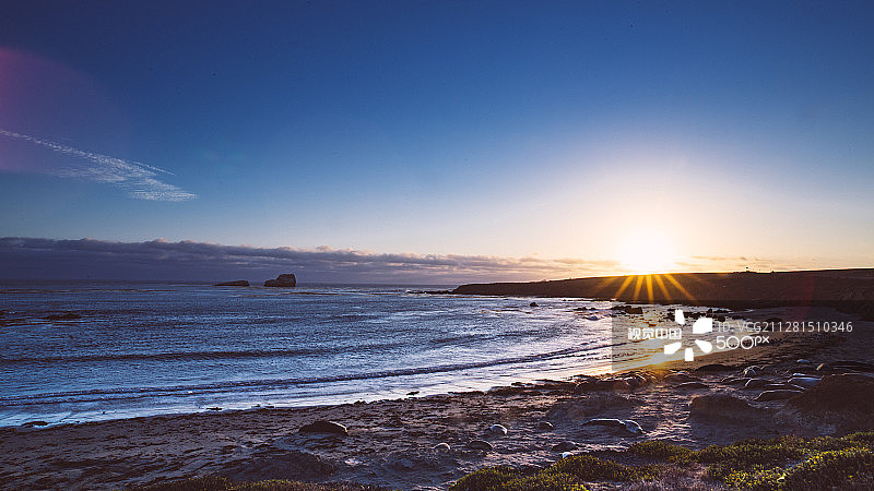 象海豹观景点图片素材