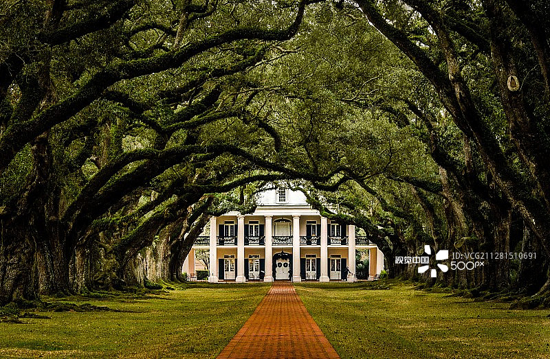 橡树巷种植园图片素材