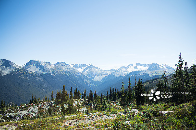 惠斯勒图片素材