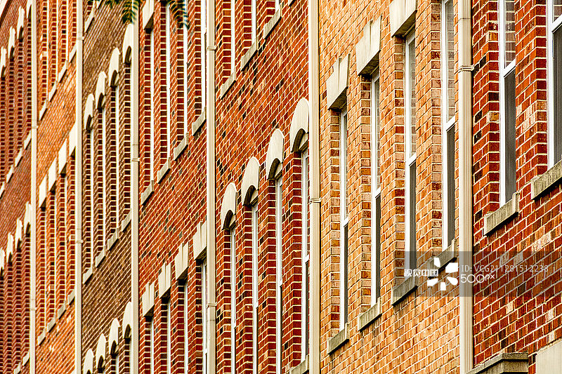 泽西市图片素材