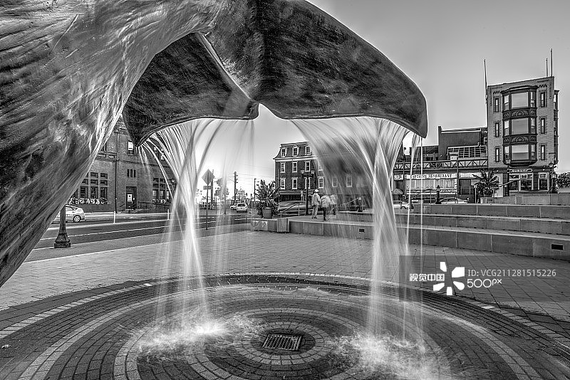 新伦敦鲸鱼尾轨帆图片素材