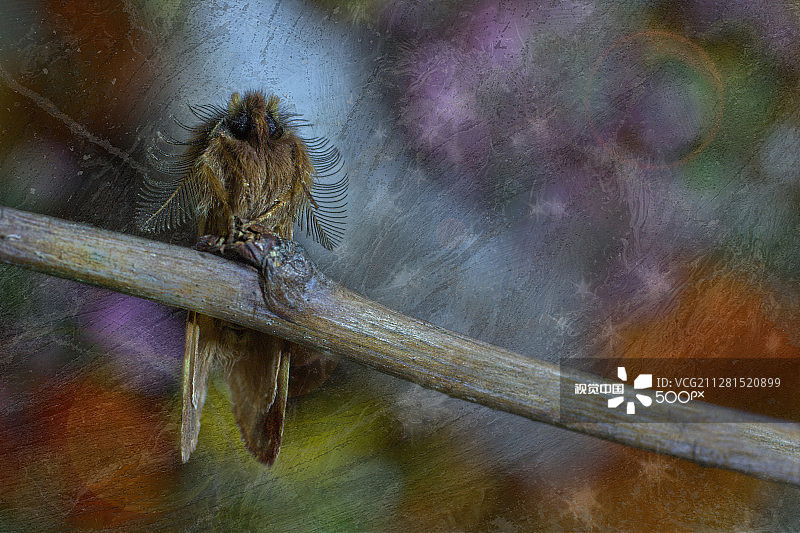 给小仙女的童话故事图片素材