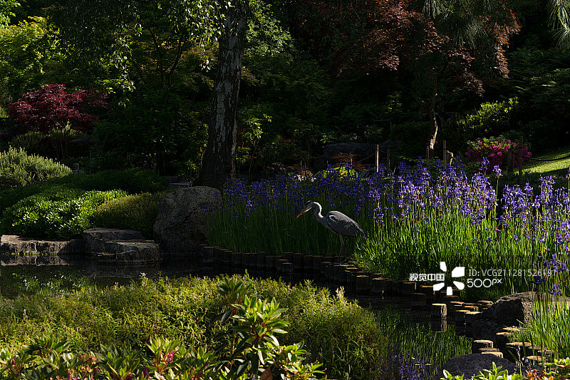 荷兰公园-京都花园图片素材