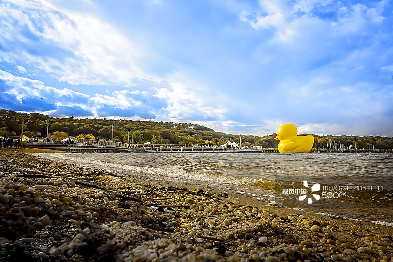 巨型橡皮鸭来了图片素材