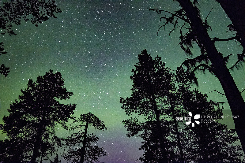 北极光森林图片素材