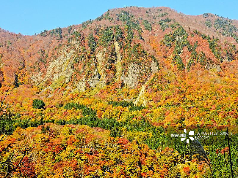 日本 饭山图片素材