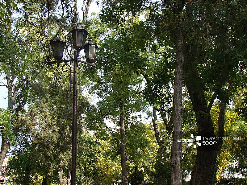 赫尔松的秋天图片素材