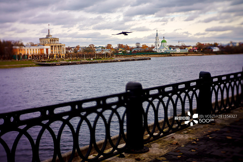 河边的小鸟图片素材