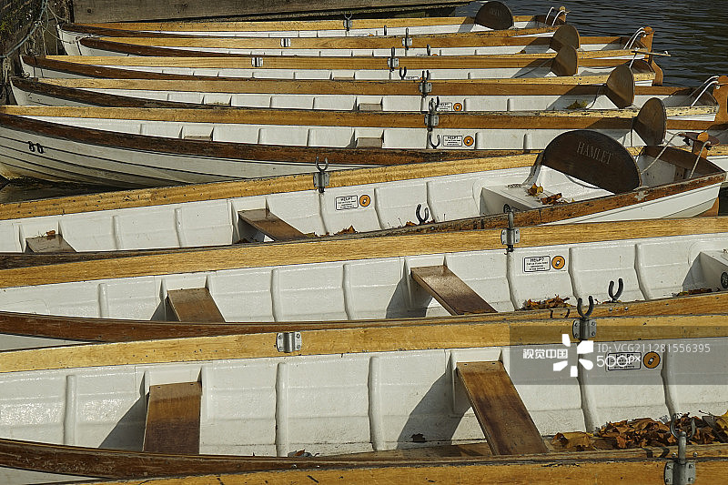 秋季的划艇图片素材