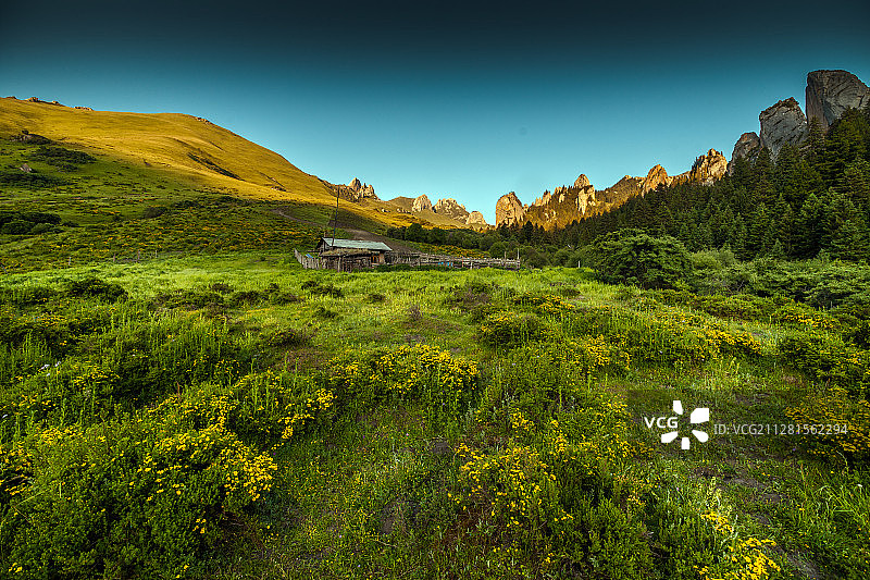 美丽的则岔石林图片素材