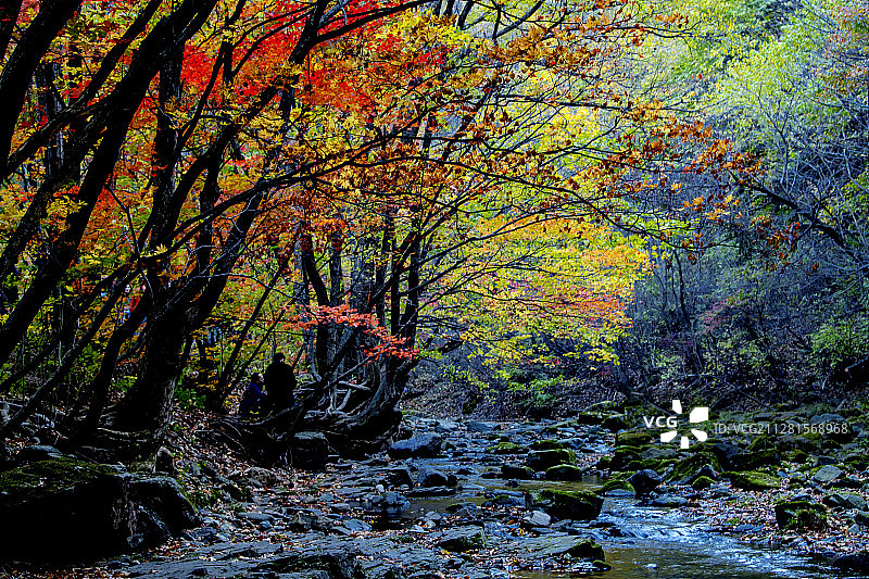 赏秋-沈阳宽甸天桥沟图片素材