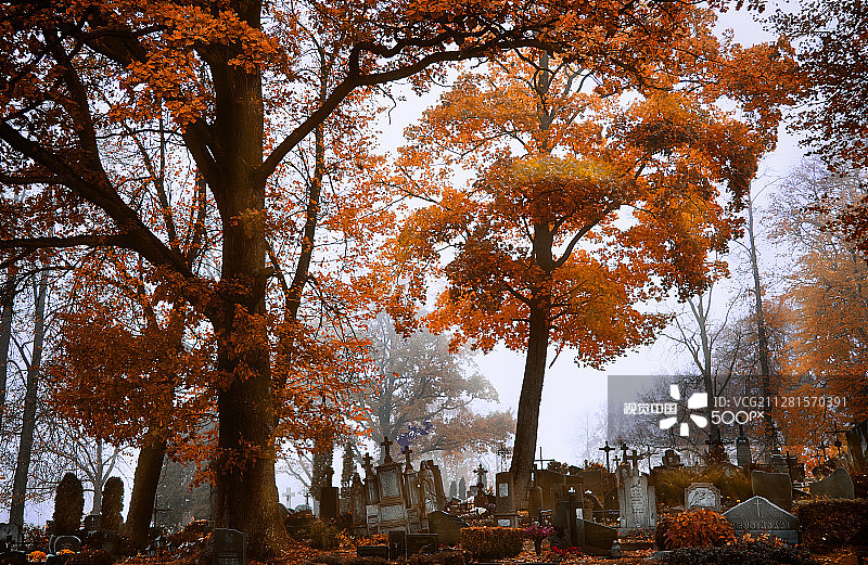 雾中的古老墓地和墓碑图片素材