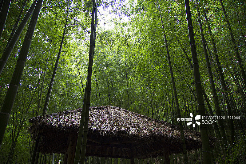 带竹子的茅草小屋图片素材