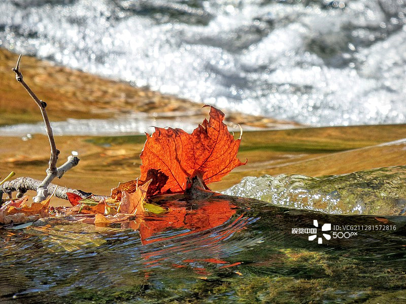 印第安纳州彭德尔顿瀑布公园的秋叶图片素材