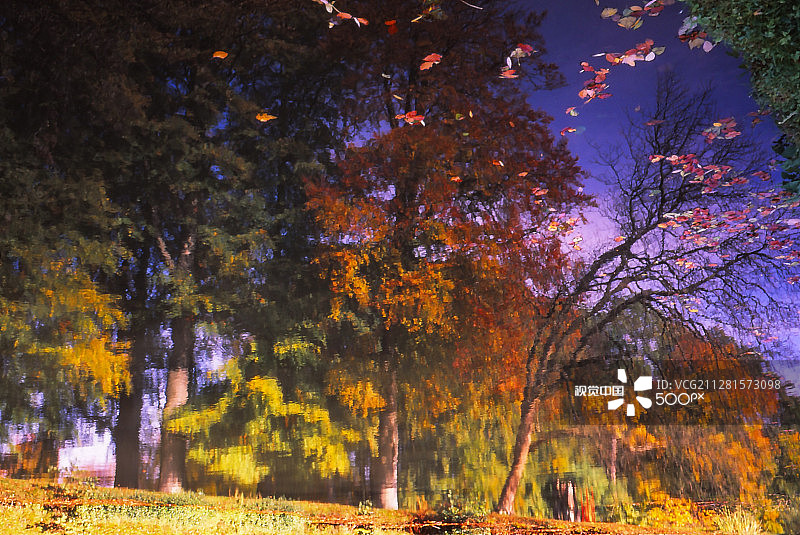 宰斯特的秋日森林倒影图片素材