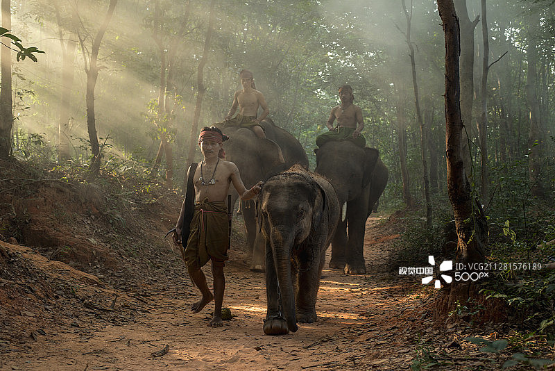 泰国素林图片素材