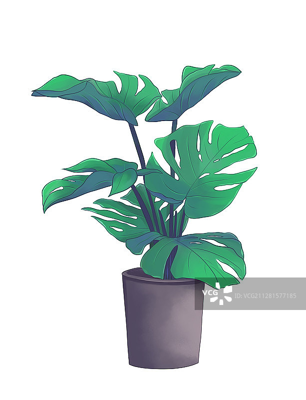 盆栽植物板绘插画插图图片素材