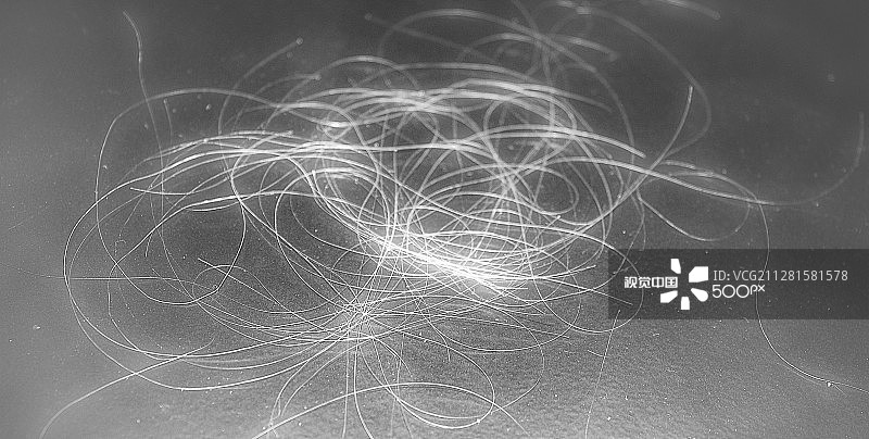 美国安克雷奇图片素材