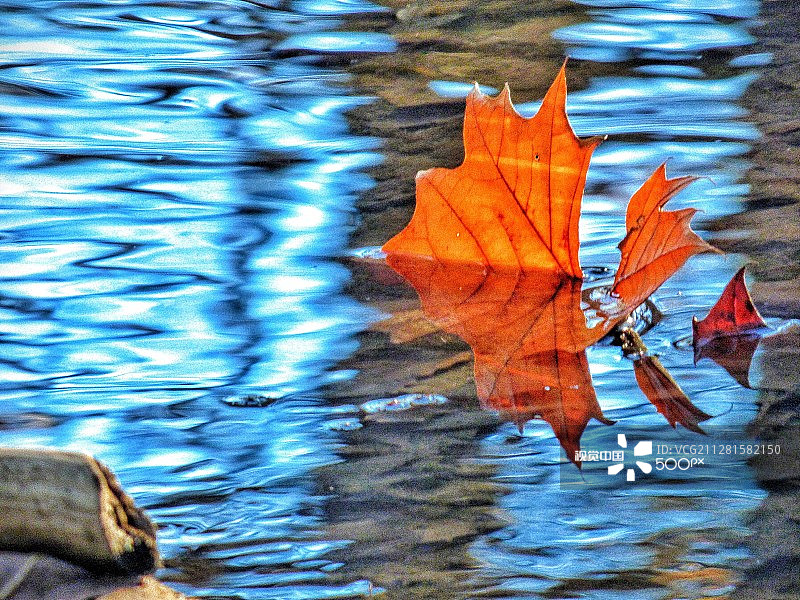 印第安纳州彭德尔顿秋景图片素材