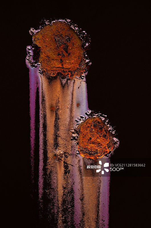 锈迹斑斑的鲜花图片素材