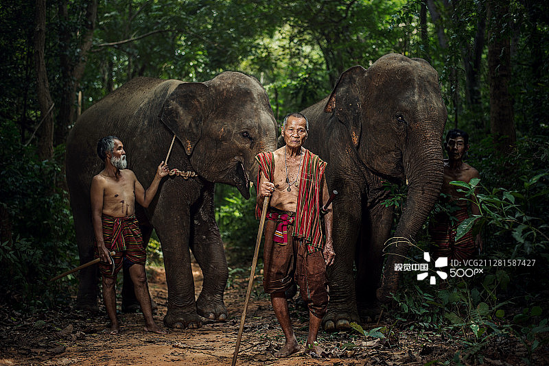 驯象师和大象图片素材