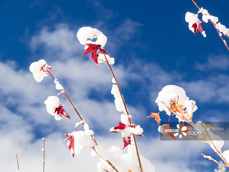 太浩湖风暴图片素材