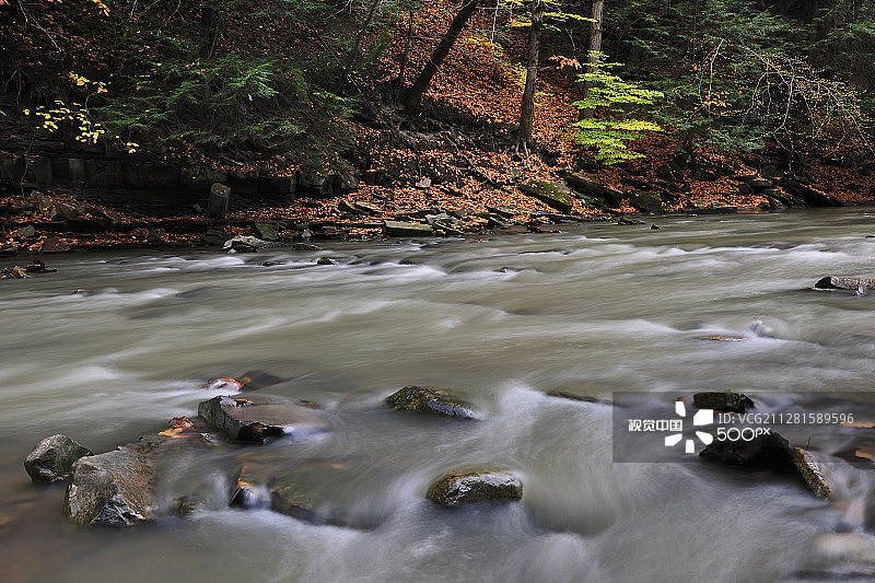 秋日流水图片素材