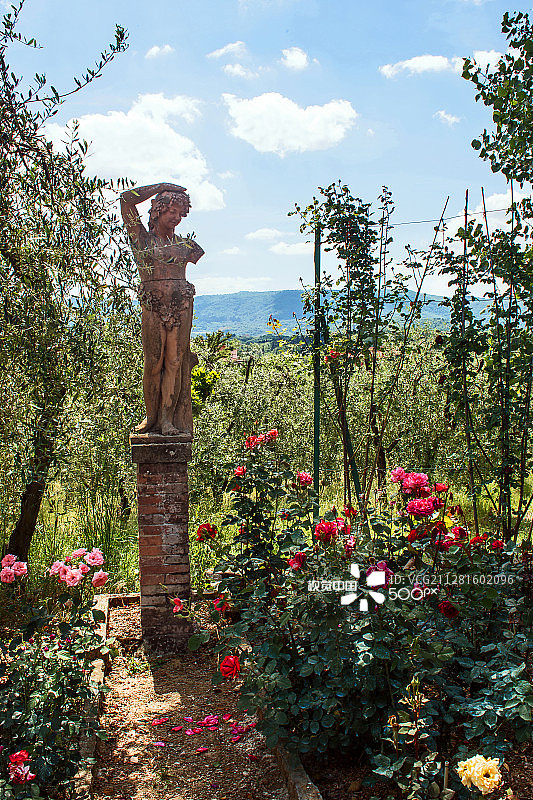 玫瑰花园图片素材