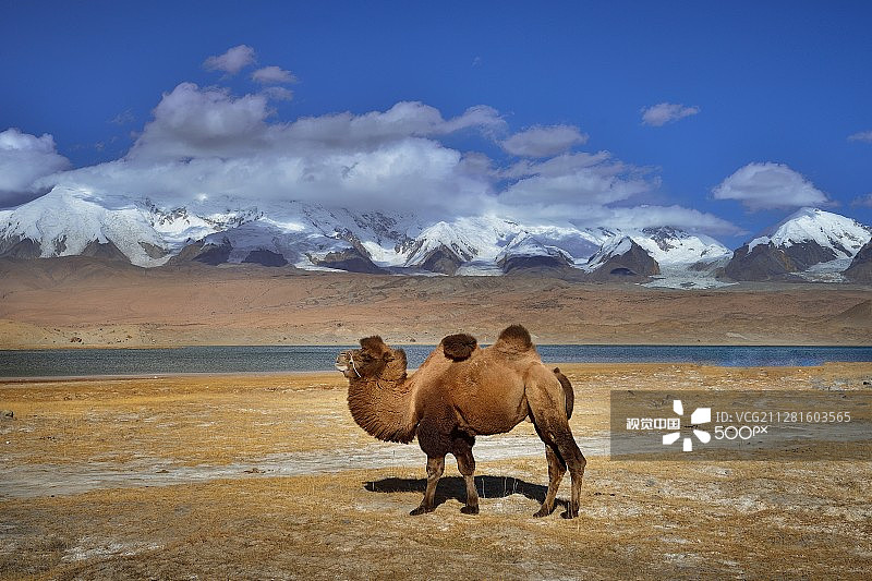 新疆帕米尔高原风光图片素材